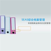 东软SEAS综合档案管理系统